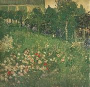Vincent Van Gogh Daubigny's Garden (nn04) Sweden oil painting artist